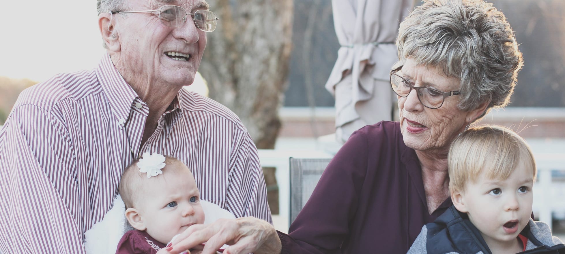 grandparents custody rights