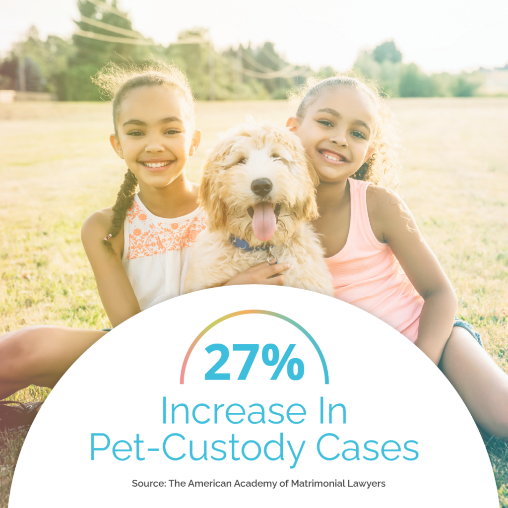 pet custody cases