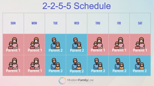 2-2-5-5 Child Custody Schedule