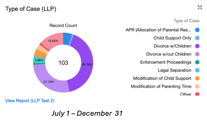 Colorado LLP case types July - December 2024