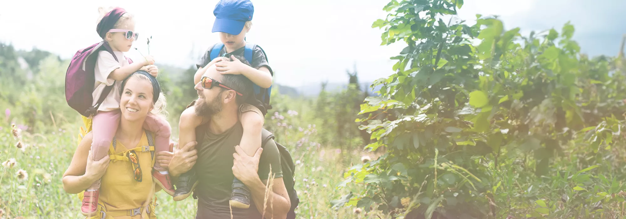 Colorado family law attorneys